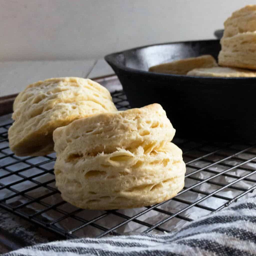 vegan buttermilk biscuits