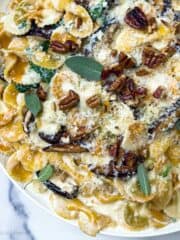 Farfalle pasta on a white plate mixed with pecans, mushrooms, sage, and a cream sauce.