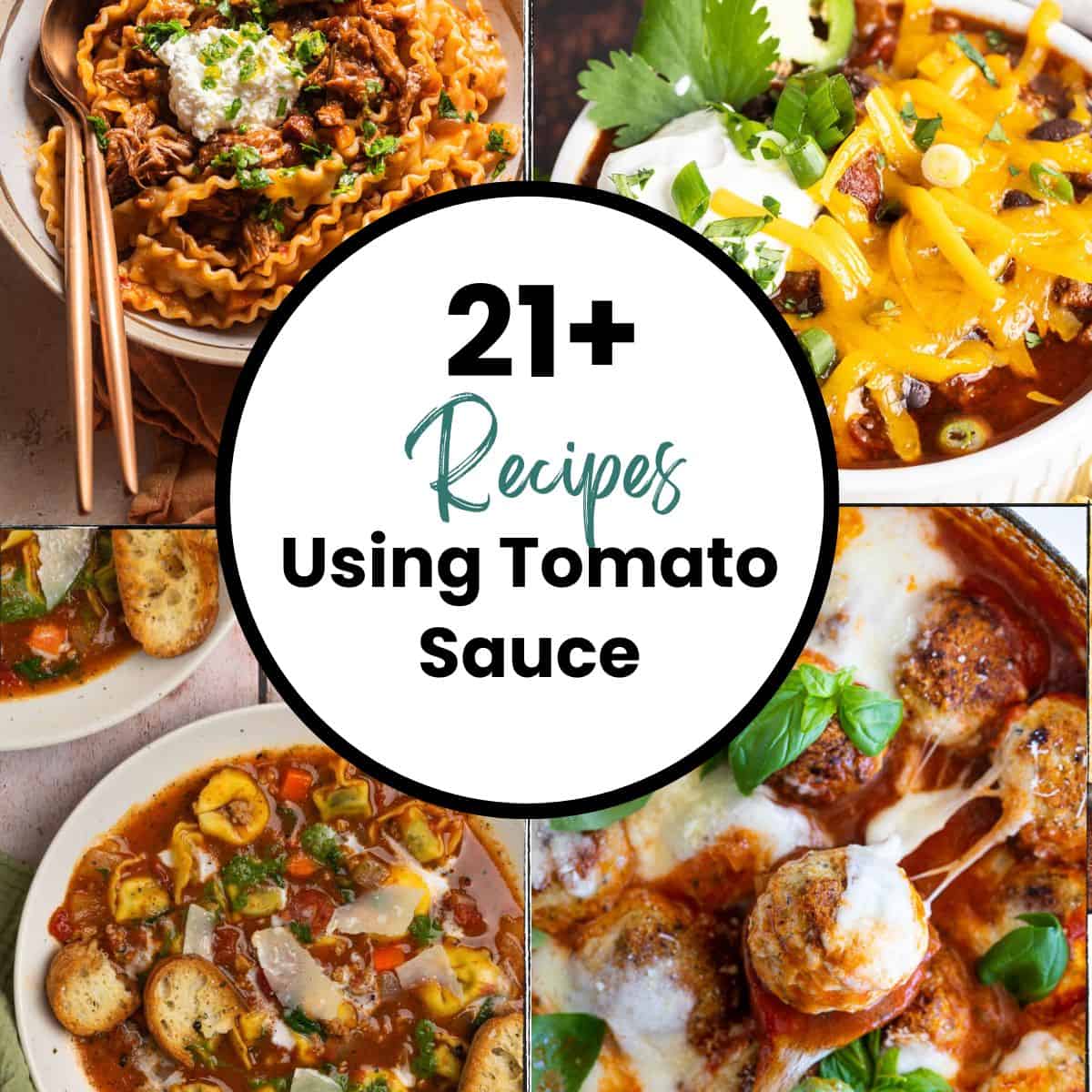 Using Sauce 21+ Recipes to Make with Tomato Sauce - The Virtual Caterer